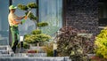 Landscaper Trimming Bonsai