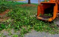 Landscapers using chipper machine to remove and haul chainsaw tree branches Royalty Free Stock Photo