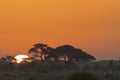 Landscapes of Amboseli. Kenya, Africa