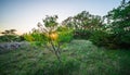 Landscapes around willow city loop texas at sunset Royalty Free Stock Photo