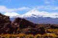 Landscapes of the Atacama Desert, Chile Royalty Free Stock Photo