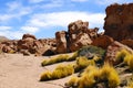 Landscapes of the Atacama Desert, Chile Royalty Free Stock Photo