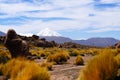 Landscapes of the Atacama Desert, Chile Royalty Free Stock Photo