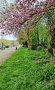 Landscapes Beauty in nature Atomium brussel