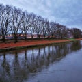 Landscapes Beauty in nature river tree water river liege