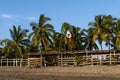 The flag is at the entrance of the palapa. Royalty Free Stock Photo