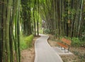 Landscapes of chinese bamboo park. Chengdu city. Royalty Free Stock Photo
