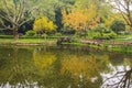 Landscapes of chinese park chengdu Royalty Free Stock Photo