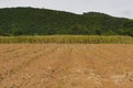 Landscapes rural farming area with big mountains. Royalty Free Stock Photo