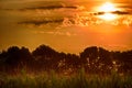 Landscapes at dawn with sunrise on the corn field