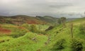 Landscapes - Derbyshire Peak District with grazing sheep Royalty Free Stock Photo