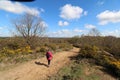 Landscapes England Nature