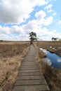 Landscapes England Nature