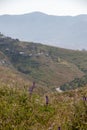 Landscapes of Ensenada`s hills, Baja California Royalty Free Stock Photo