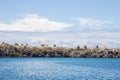 Landscapes of the Galapagos: Santa Fe island