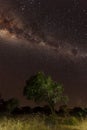 Landscapes of Mkhuze Game Reserve South Africa Under the Stars Royalty Free Stock Photo