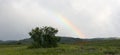 Landscapes of Mongolia. Desert mountain slopes and valleys with rainbow.