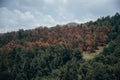 Landscapes of the mountains in central Mexico, you can see mountains, valleys, trees and clearings