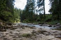 Landscapes of the mountains and mountain river and natural green forest. black and white photo. Royalty Free Stock Photo