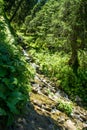 Landscapes of the mountains and Mountain river and natural green forest. Royalty Free Stock Photo