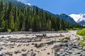 Landscapes of Mt Rainier Sunrise Tipsoo Lake and White River. Royalty Free Stock Photo