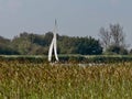 Sail and the Fenland landscape