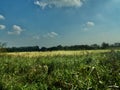 Landscape of Norfolk farmland