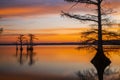 Landscapes of Reelfoot Lake Tennessee in Sunrise Royalty Free Stock Photo