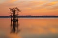 Landscapes of Reelfoot Lake Tennessee in Sunrise Royalty Free Stock Photo