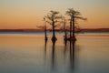 Landscapes of Reelfoot Lake Tennessee in Sunset Royalty Free Stock Photo