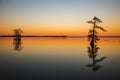 Landscapes of Reelfoot Lake Tennessee in Sunset Royalty Free Stock Photo