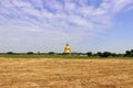 Landscapes of rice fields and behind of big brass Buddha statue on blue sky background Royalty Free Stock Photo