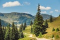 Landscapes of Rodna Mountains in eastern carpathians, romania Royalty Free Stock Photo