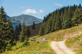 Landscapes of Rodna Mountains in eastern carpathians, romania Royalty Free Stock Photo