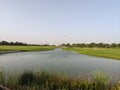 landscapes of rumanza golf course dha Multan Royalty Free Stock Photo