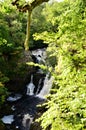 Landscapes of Scotland - Reekie Linn Waterfall Royalty Free Stock Photo