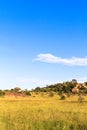 Landscapes of Serengeti. Tanzania, Africa Royalty Free Stock Photo