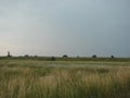 Landscapes of the shore of Lake Sivash on a cloudy pre-rainy summer morning.