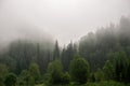 Landscapes of Siberia. Early morning on the Kiya river. Fog over a forest in the mountains. Kemerovo region. Royalty Free Stock Photo