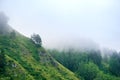 Landscapes of Siberia. Early morning on the Kiya river. Fog over a forest in the mountains. Royalty Free Stock Photo