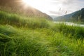 Landscapes of Siberia. Early morning on the river. Sunlight illuminates grass in dew against the backdrop of mountains.