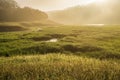 Landscapes of Suoi Tia near Ho Tuyen Lam lake, Da Lat city, Vietnam Royalty Free Stock Photo