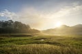 Landscapes of Suoi Tia near Ho Tuyen Lam lake, Da Lat city, Vietnam