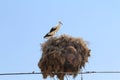 Landscapes of Turkey- stork Royalty Free Stock Photo