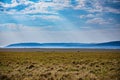 Kenya Landscapes Wildlife Animals Mammals at the savannah grassland wilderness hill shrubs great rift valley maasai mara national Royalty Free Stock Photo