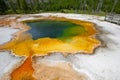 Landscapes of yellow stone national park