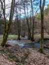 A landscapewith a little creek that wiggles around some trees and a meadow and forest in the background