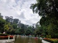 Landscaping around a gazebo with hanging flower baskets in a quiet park.