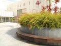 Landscaping, city offices area Royalty Free Stock Photo