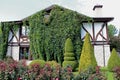 Landscaping, decorative trees and bushes near the house